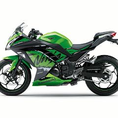 17EX300B MYS GN2 LS C