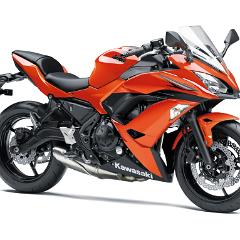 17EX650K OG1 RF R