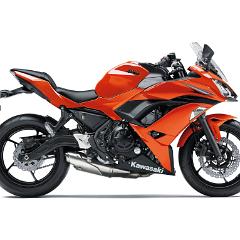 17EX650K OG1 RS R