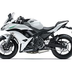 17EX650K WT1 LS R