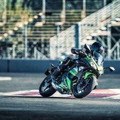 49937  Ninja? 650 ABS KRT Edition